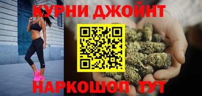 сатива Аргун